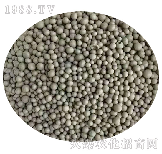 �����������(f��)�Ϸ��w��-���Z