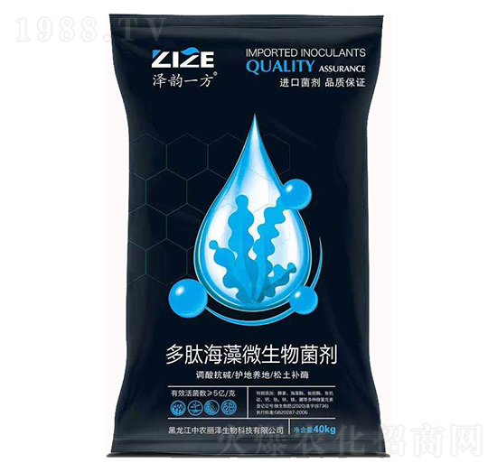 ���ĺ���΢�������-���r���