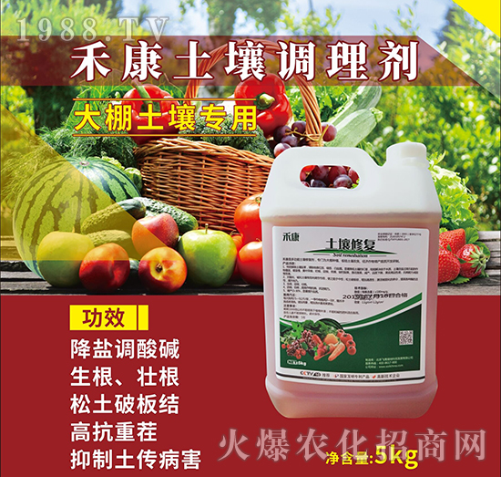 �̿����������{�턩-�w���G��