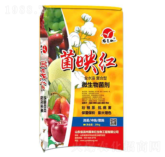 ȫˮ�܏ͺ���΢�������-��ӳ�t-����t