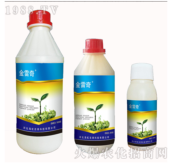 21%�^(gu��)������-������-����ٲ�