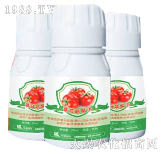 ���ѽ��-����ֲ��