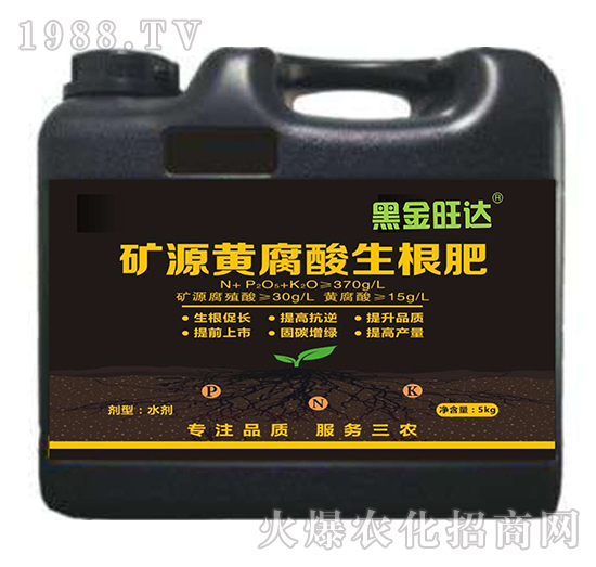 �VԴ�S����������-�ڽ����_-��(f��)������