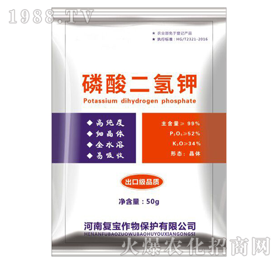 ��������-�͌�����