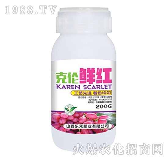 �˂��r�t-��(l��)��