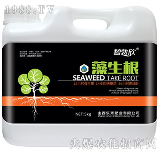 ������-����