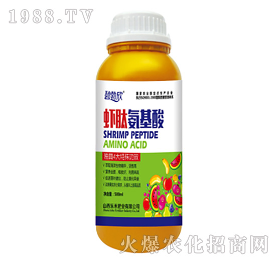 �r�İ�����-����