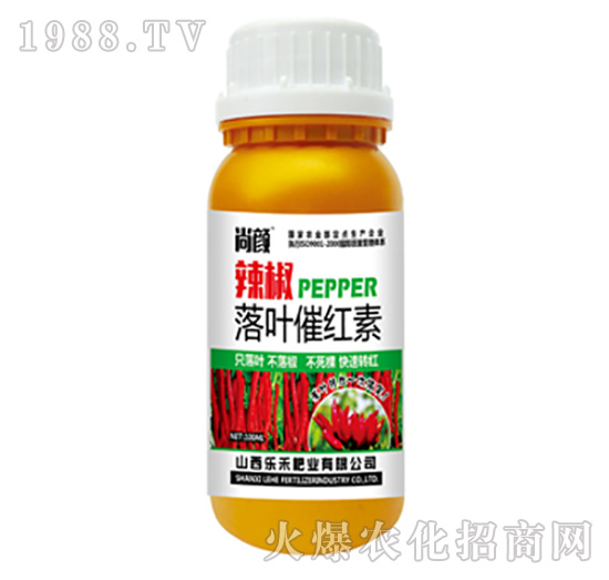 �����߼t��-��(l��)��