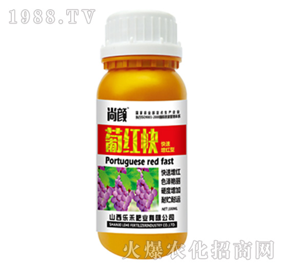 ����ϼt��-����