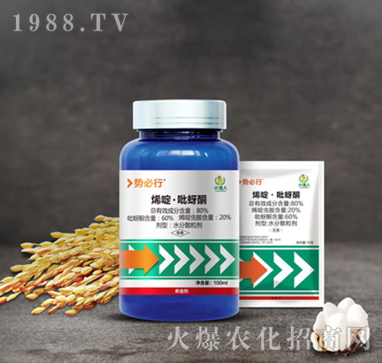 80%ϩड�����ͪ-�ݱ���-С����