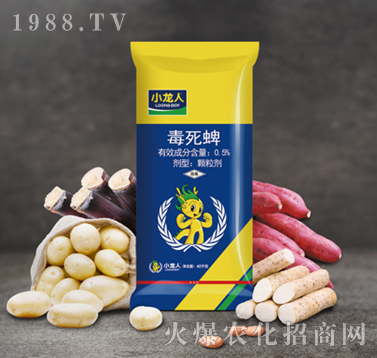 0.5������-����ˎ��-С����