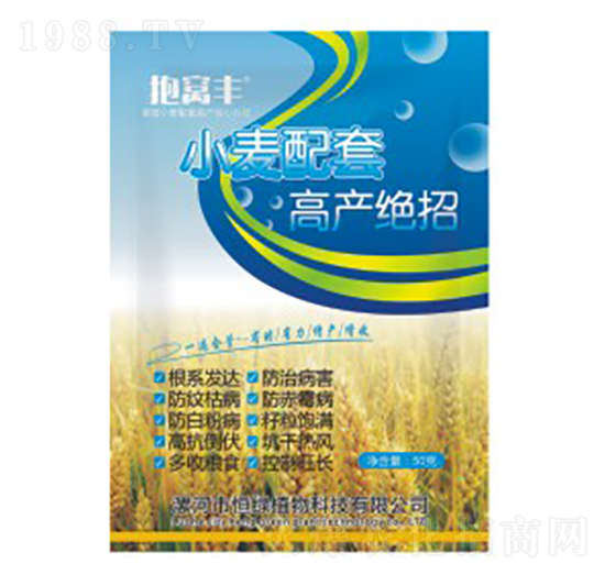 С�����׸߮a�^��-���C�S-��Gֲ��