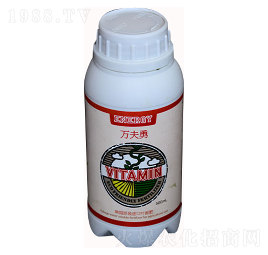 �f����-��������