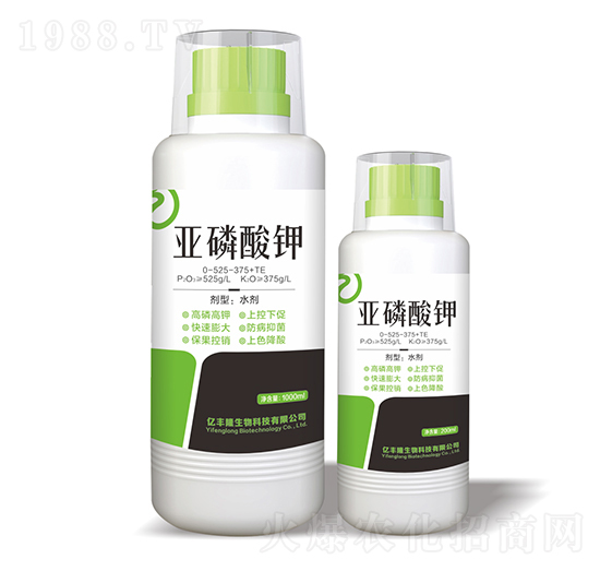 �������0-525-375+TE-�|�S¡