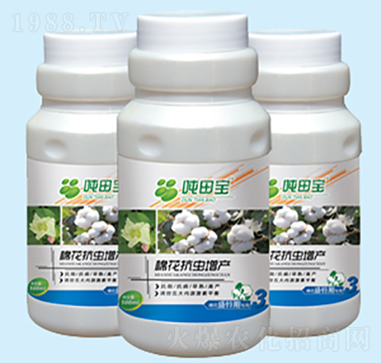 �޻�ʢ��ڌ�����-���-�����S��