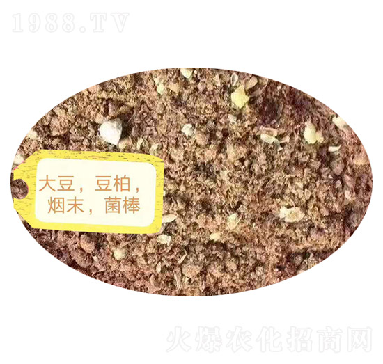 �󶹡���������ĩ��������-�Z�M�}