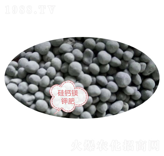 ���}�V⛷�-�Z�M�}(c��ng)