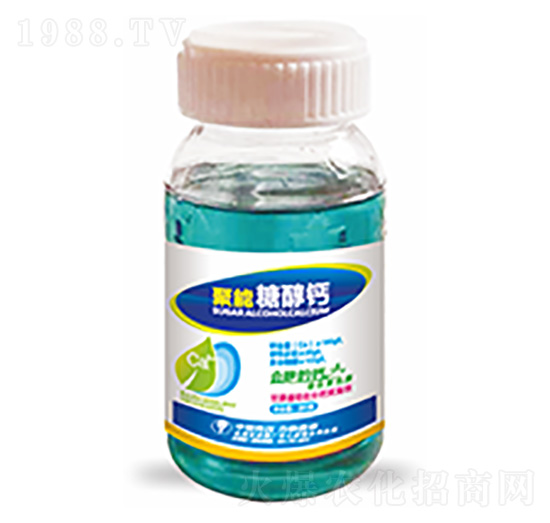 �����Ǵ��}-�����Ƽ�