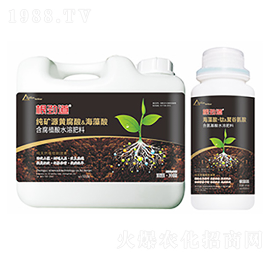 ���ŵ�-�����Ƽ�