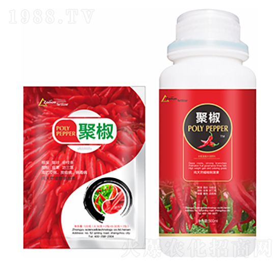 �۽�-�����Ƽ�