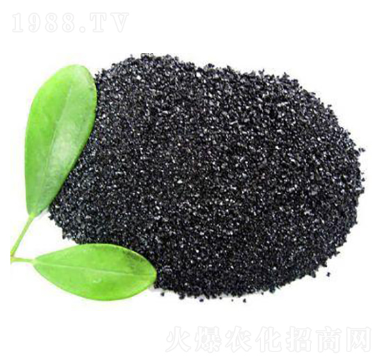 �VԴ�S�����-��S�r�I(y��)