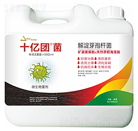 ���ѿ�ߗU��-ʮ�|�F��-�����Ƽ�