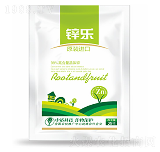 �\��(l��)-�����Ƽ�