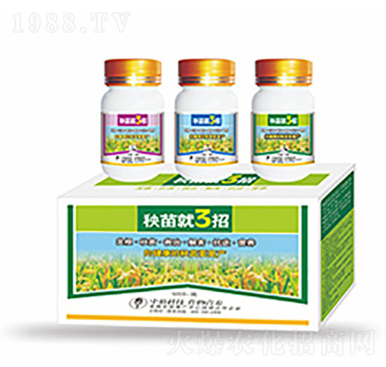 �����3��-�����Ƽ�