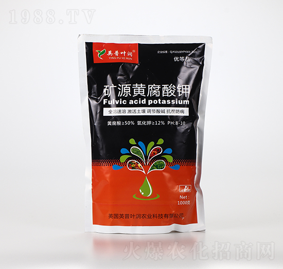 �VԴ�S�����-Ӣ���~��(r��n)