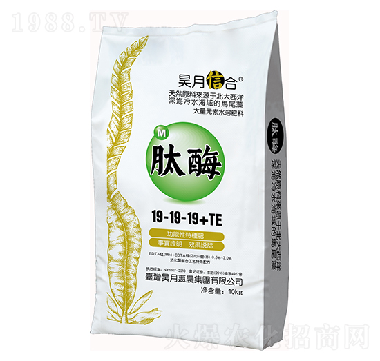 ��ø19-19-19+TE-��»��r(n��ng)