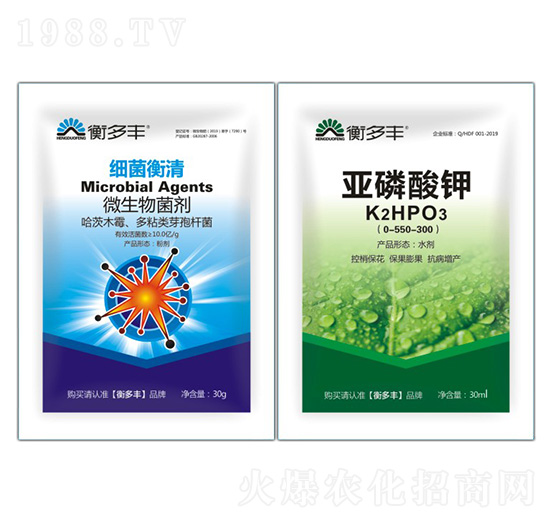 1+1�B���Լ�(x��)������(zhu��n)��-��(x��)������-����S