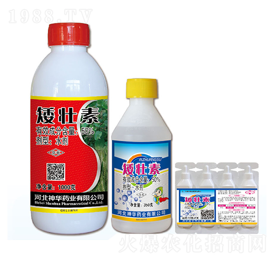 50%������-���A