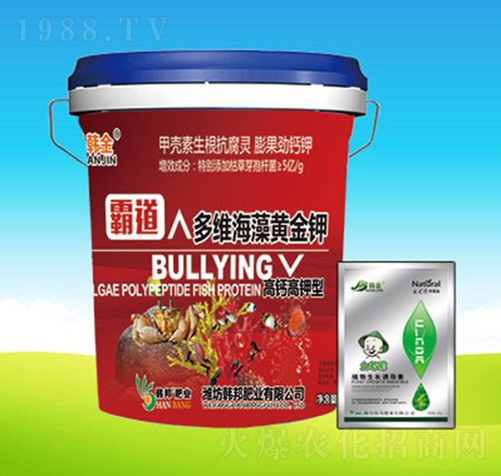 �Ե���S�����S���-�n��ʘI(y��)