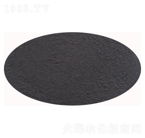 �S��ֲ��-ʥ��һ��