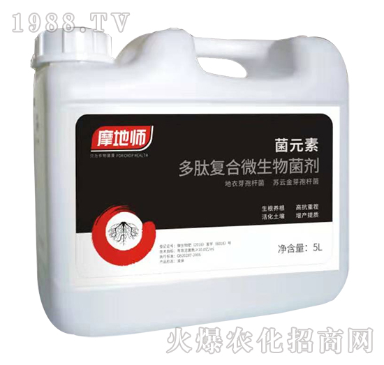 ���ďͺ�΢�������-��Ԫ��-�������r(n��ng)