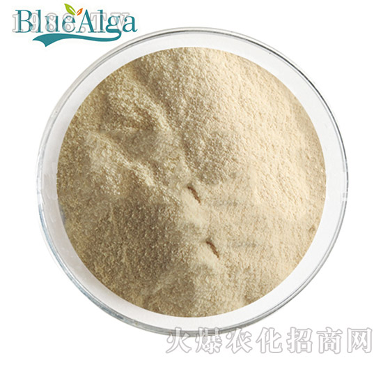 �~������-�{(l��n)������