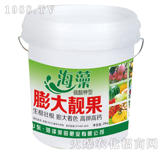 ��������n��-Ц��