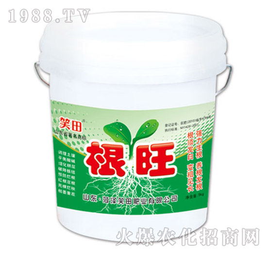 ����-Ц��