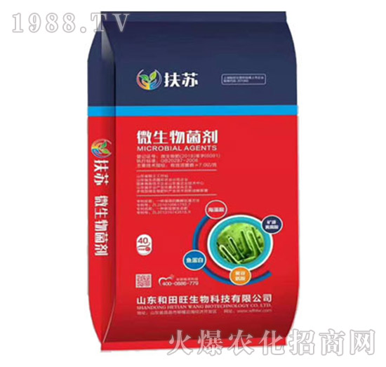 ΢�������-���K-����������