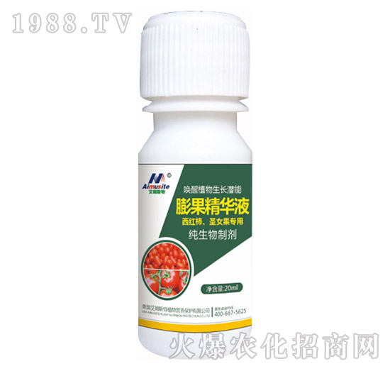 �������Ƅ�-���t����ʥŮ������-��ķ˹��