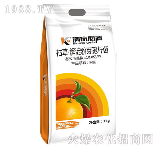 �ݲݡ������ѿ�ߗU��-��������-�T�_