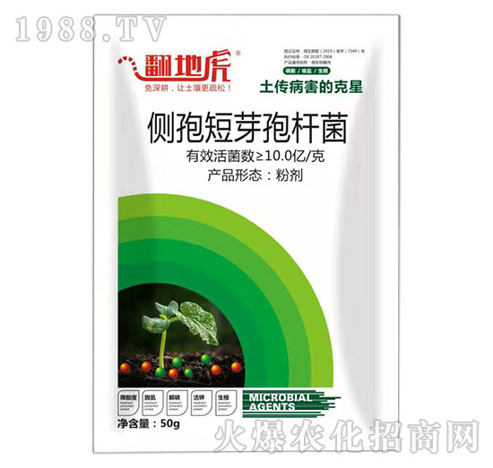 ���߶�ѿ�ߗU��-���ػ�-�T�_