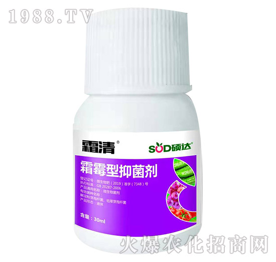 ˪ù���־���-˪��-�T�_(d��)