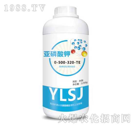 �������0-500-320-TE-�T�_