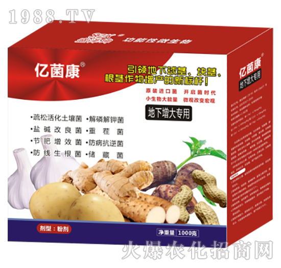 ����������-�|����R-ʢ����