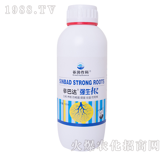 ������-�����_-�ȝ�����