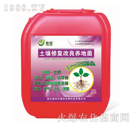 �����ޏ͸����B(y��ng)�ؾ�-΢��-���S���