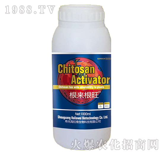 ��������-�����S