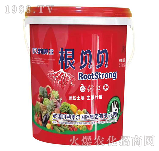 ��ؐؐ-�����S