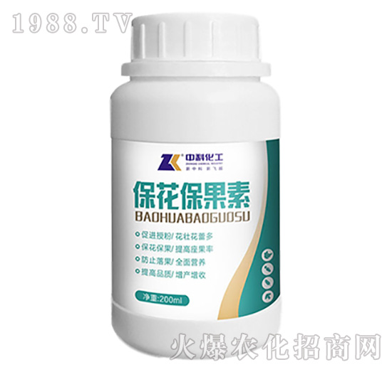 ����������-�пƻ���